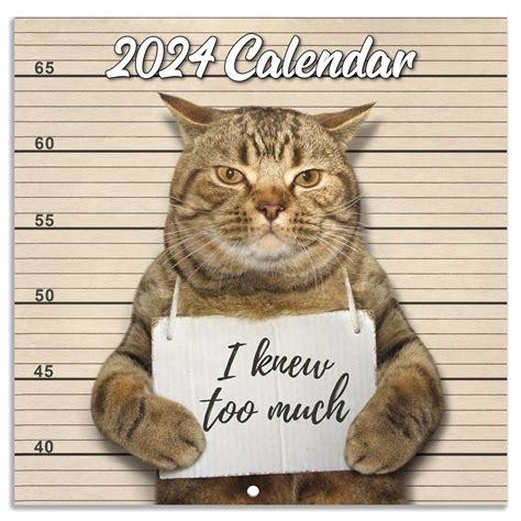 calendar memes|Best Funny calendar Memes